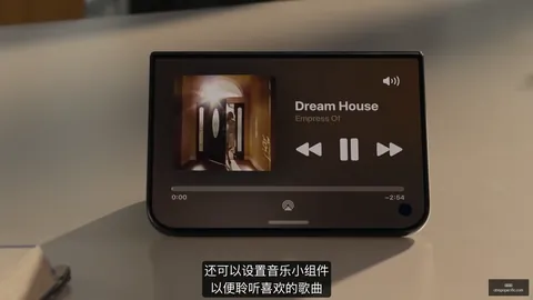水原主场战绩分析：让位定位之谜与数据差异